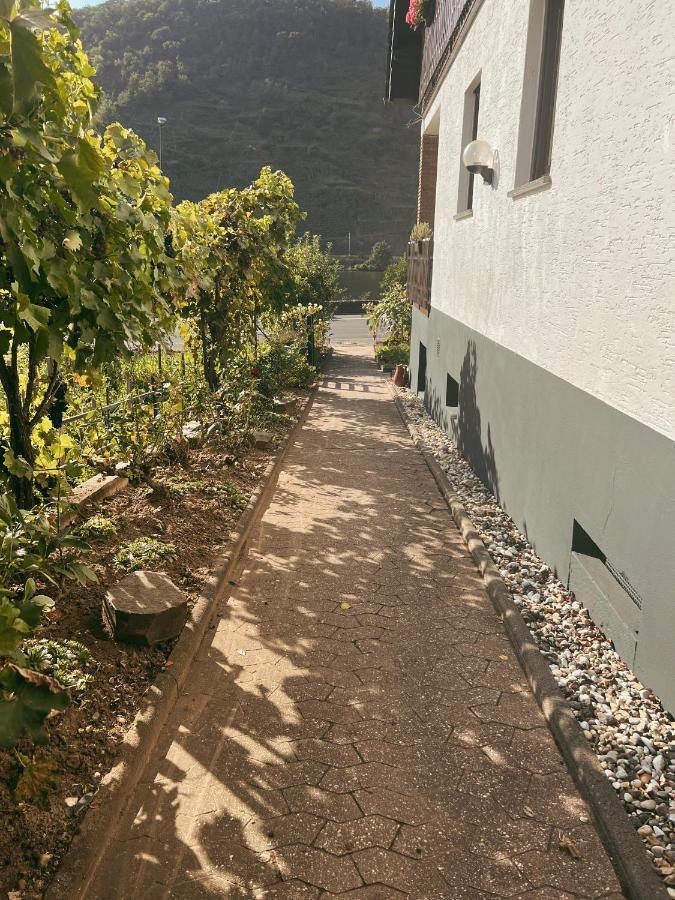 Ferienwohnung Moselflair Mit Direktem Blick Auf Die Mosel Und Weinberge Oberfell Luaran gambar